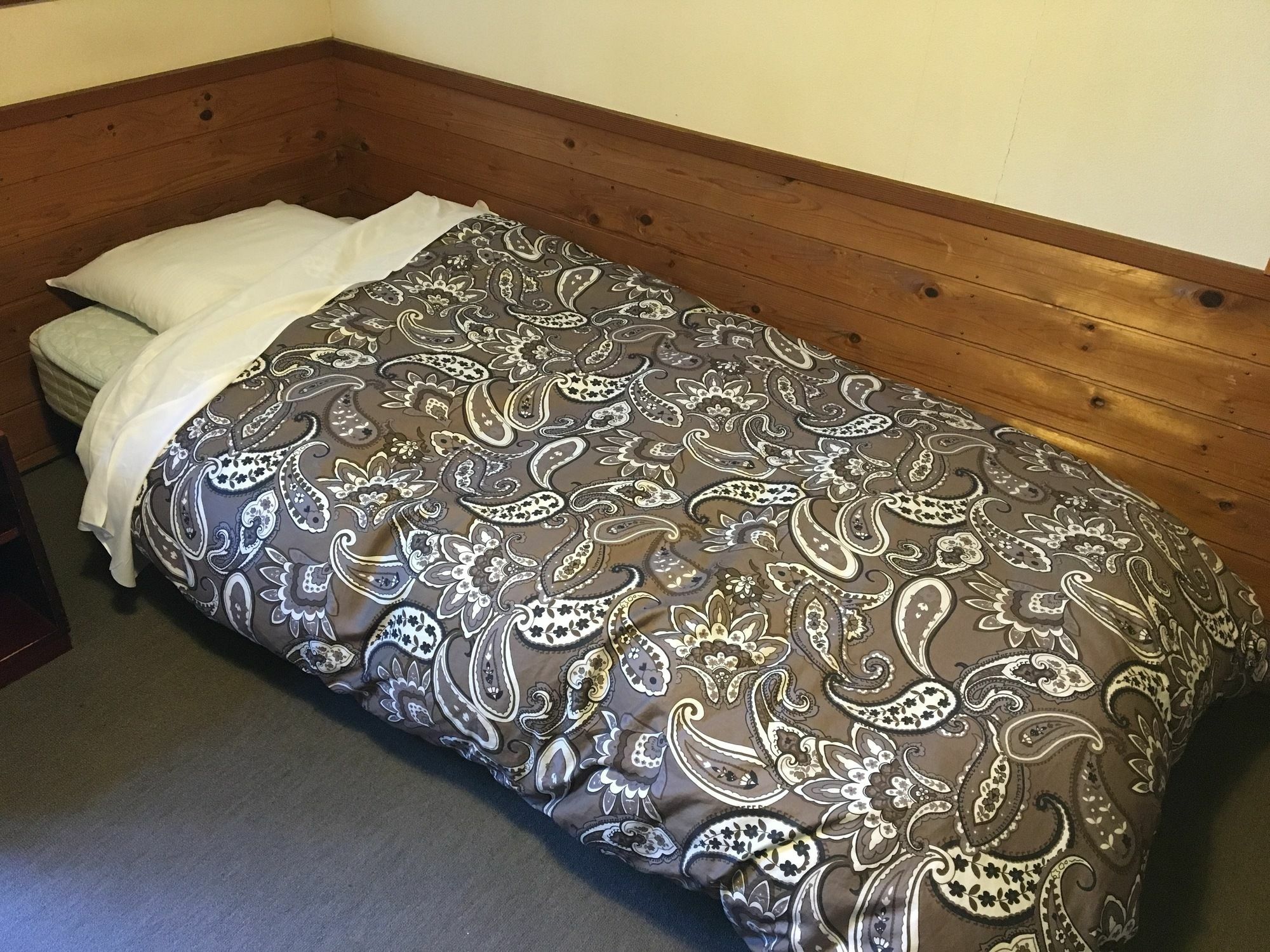 Pension Roku Hakuba Buitenkant foto